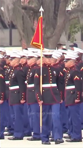 USMC GRADUATION | The March of Honor. #usmc #marines #marinecorps #usmarines #shorts #bootcamp