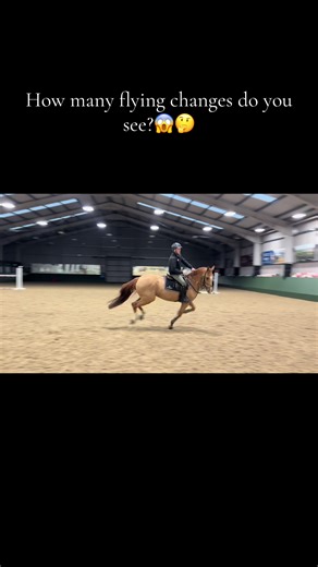 Mastering Flying Changes in Show Jumping