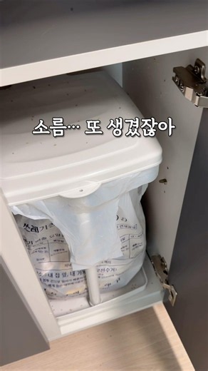 Not that famous 300,000 won trash can, and the price is half?! Nope! ❌ Even lower, lower⬇️
