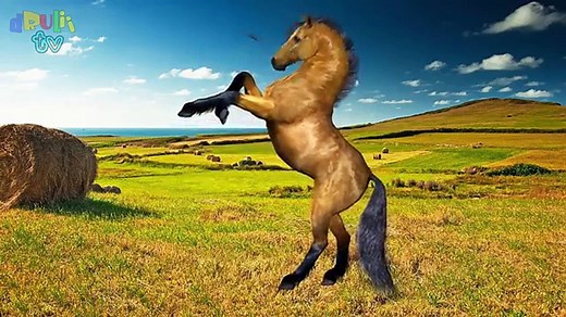 Learn Wild Animals Names and Sounds | With Cartoon characters and Real Animals | dRuLii TV – Видео Dailymotion