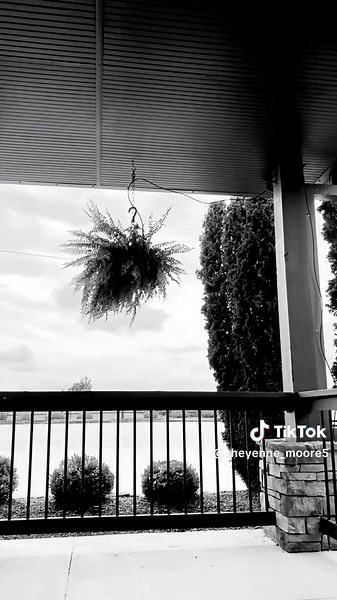 Cheyenne Moore (@cheyenne_moore5)’s videos with If love could have saved you - Havva Ramadan