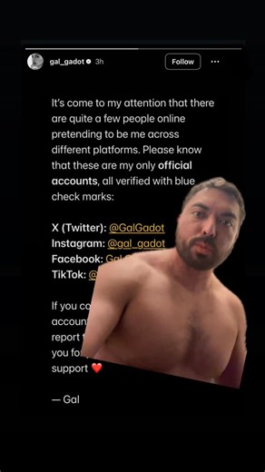 Matt Seiiji Ketai on Instagram: "10:45 on 10/29 - my late breaking bedtime response to Gals statement * * * * * #funny #sketchcomedy #galgadot #satire #dcu #impression"