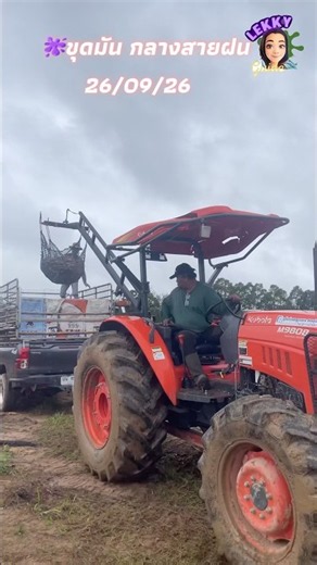 Digging for yams in the pouring rain: The struggle is real, but nature is fighting back