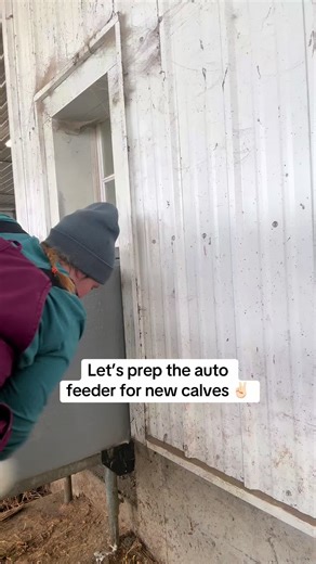 Preparing the Auto Feeder for New Calves