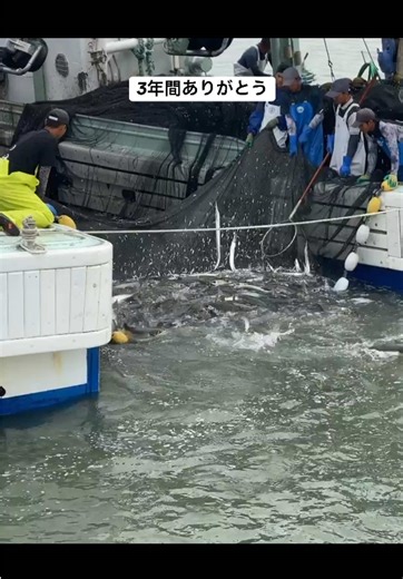 kelingan rikolo semono karo kakak kakak🤣🙏🏼 #fyp #4u #fypシ #kensyusei🇲🇨🇯🇵 #jisshusei🇮🇩x🇯🇵