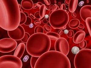 Baisse du taux de globules blancs : Ça veut dire quoi ?