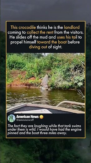 HIDE AND SEEK WITH A CROCODILE