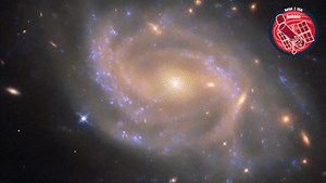 Spot the supernova in NGC 3285B! 🔍 Access more space-themed .gifs at our giphy page: https://ow.ly/s5tX50WvUKS | Hubble Space Telescope