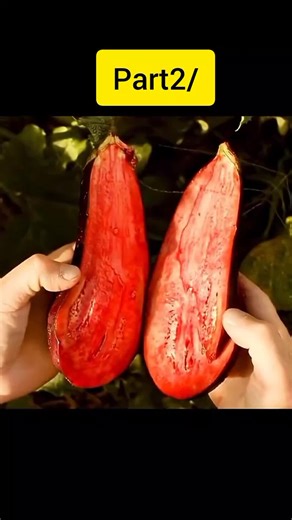 Film Analysis: Understanding Movie Endings Explained