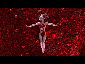 The best of American Beauty