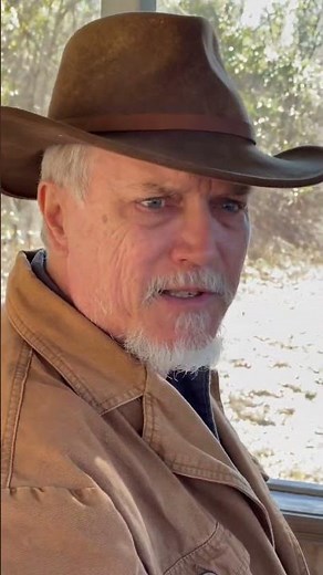 Madsen M47, Hard to Find Military Bolt Action Rifle 😯🔥#milsurp