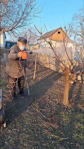 Spring Tree Spraying Routine Protecting Fruit Trees the Right Way #garden #gardening #gardeningtips
