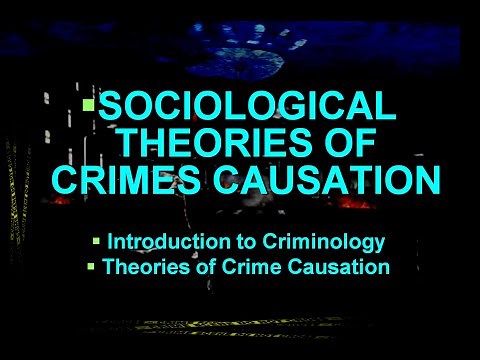 Sociological Theories of Crime Causation | Introduction to Criminology | Theories of Crime Causation