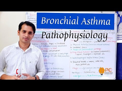 Bronchial Asthma (Part 1): Pathophysiology of Asthma