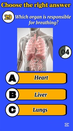 Which Organ Is Responsible for Breathing? | Human Body Quiz 🫁 #quiz #brainbuzzquiz