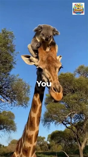 Mind-Blowing Animal Facts You Won’t Believe 😳🐾