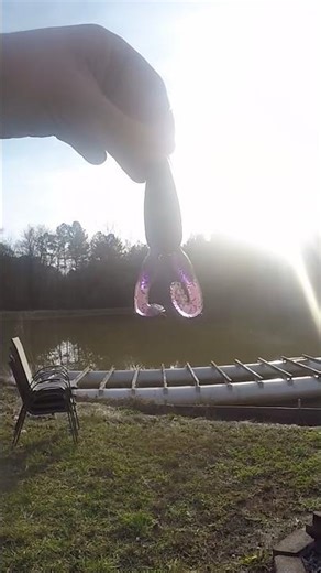 Bass fishing failure with top water frog