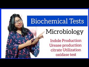 Biochemical tests in Microbiology (Part 2) Identification of Bacteria Microbiology