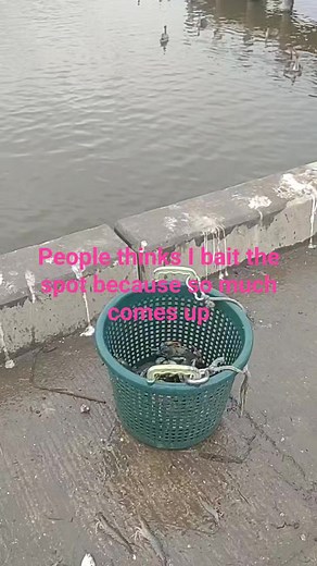 101 reactions · 27 comments | Casting the cast net for blue crabs. We catch so much people think we bait the spot | Lance Billiot | Facebook