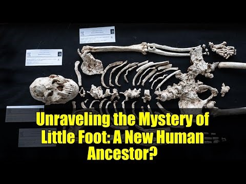 Unraveling the Mystery of Little Foot: A New Human Ancestor?