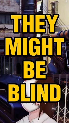 HOW Did They NOT See Me?