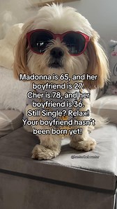 Still single? Relax! Your future boyfriend still learning the alphabet right now 😂 #comedy #funnyreels #fyp #humor #funny #jokes #laugh #explore | Hunter the Bounter