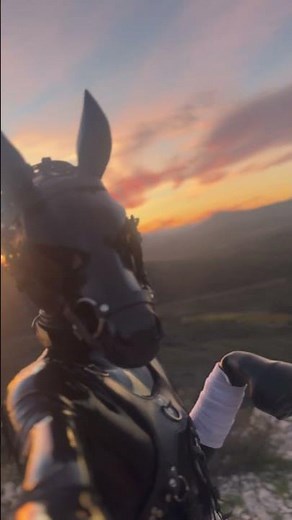 Hiking pony #latex #rubber #dokuta #ponyplay