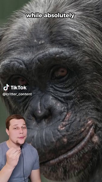 Why Do Primates Eat Their Own Poop? Health Benefits Revealed