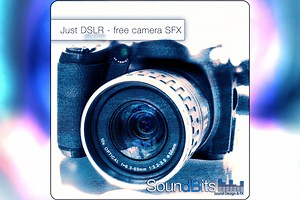 Camera Sound FX (Free) | Audio Sound FX | Unity Asset Store