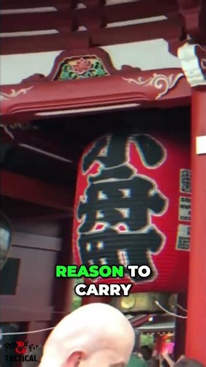 Japan's Self Defense. Pepper Spray, Tasers, and Legal Alternatives