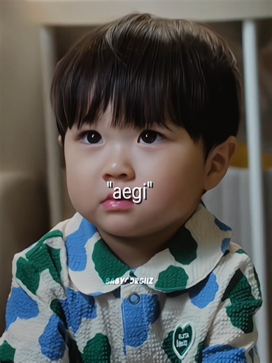Understanding the Term 'Aegi' in Korean Culture