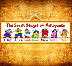 Menopause Humor Sign: Seven Stages Funny Women Gift - Etsy