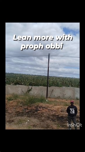 Everything has it meaning in the ram of the spirit an the living | Proph Obbi Sbuyi | Facebook