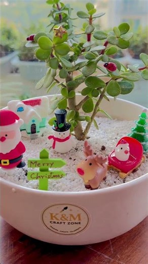Christmas magic in an open terrarium by KM Creators
