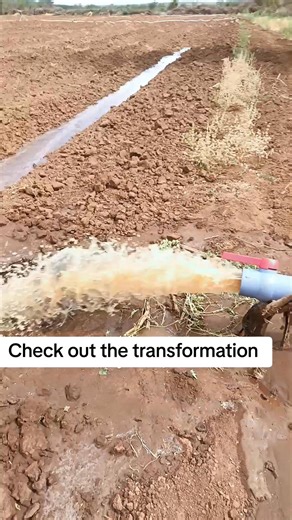 25K views · 178 reactions | Canal irrigation | Farm with Tonny greenhouse and irrigation solutions | Facebook