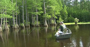Carolina Outdoor Journal:Bream Bed Season 1 Episode 19