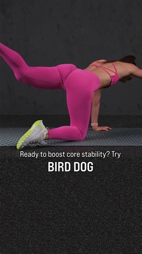Bird Dog Exercise - Improve Balance and Sculpt Your Core 🤸
