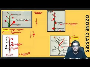 Types of Inflorescence: Racemose, Cymose, Special type and their Sub-types | Most Informative Video Video Lecture - NEET