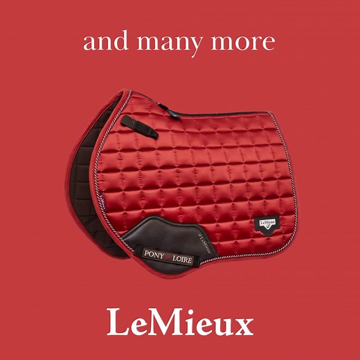 Shop the wide range of LeMieux Saddle Pads, providing high quality technical features and ultimate comfort for horse and rider. | LeMieux