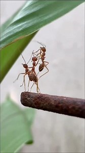 What About Me? - Sad Song Lyrics