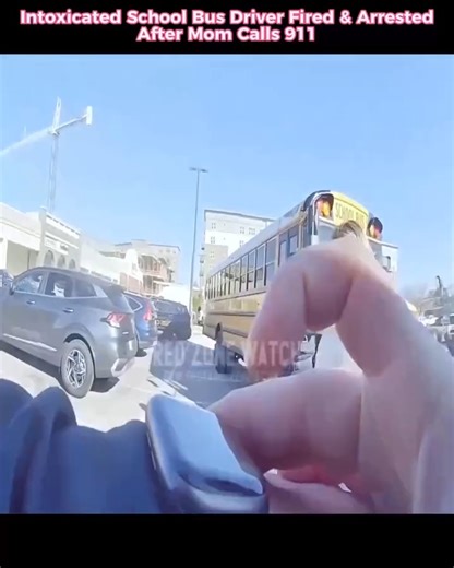 54K views · 290 reactions | Intoxicated School Bus Driver Fired & Arrested After Mom Calls 911 | Psicología Social Lucía Alegre | Facebook