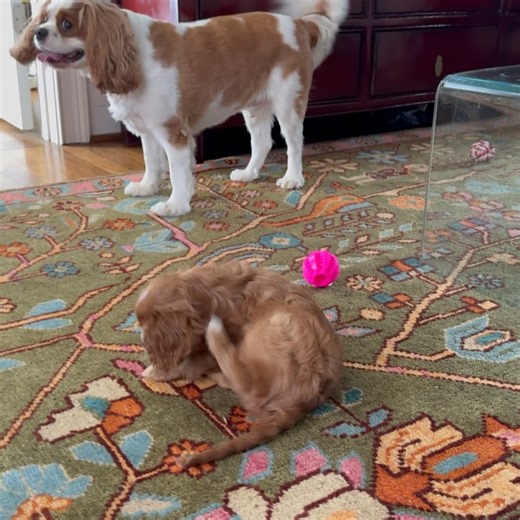 Lindsay Miller on Reels