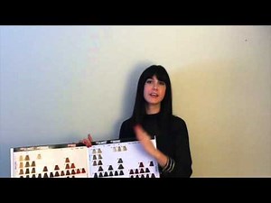 Goldwell Topchic Color Card Presentation