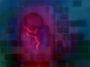 Gene-Edited Kids Can Be Safely Released into the Wild Human Gene Pool