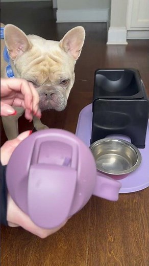 We are now fans and the Spring Revival collection is perfect for us monochrome / purple girls 💜 the