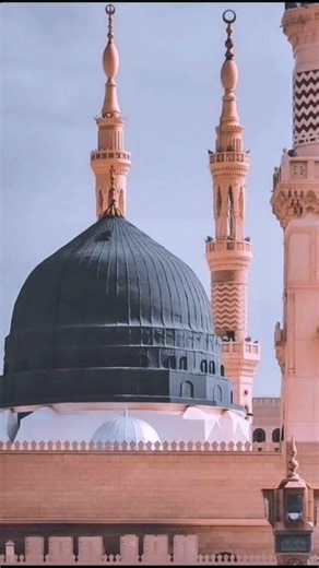 Muhammad Nabeena ||How To Grow YouTub channel||#new#viral#view#love#subscribe ##