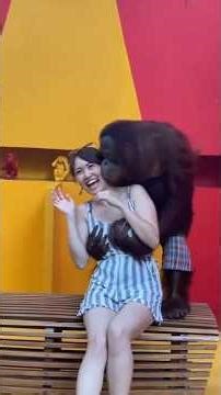 జూలో ఉండే gorilla రోజూ మనుషులను గమనిస్తూ, తెలియకుండానే వారిని అనుకరించడం మొదలుపెడతాయి: