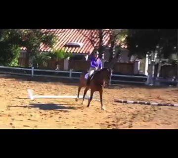 26K views · 374 reactions | Have you watched our Free Video of the...