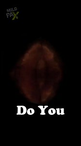 4.2K views · 49 reactions | Do You Have Any Idea How Fast A Rail Gun Can Fire? | MiloPax | Facebook