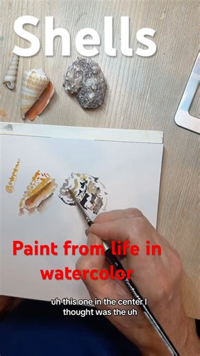 Shells paint from life in watercolor #art #painting #watercolor #easy